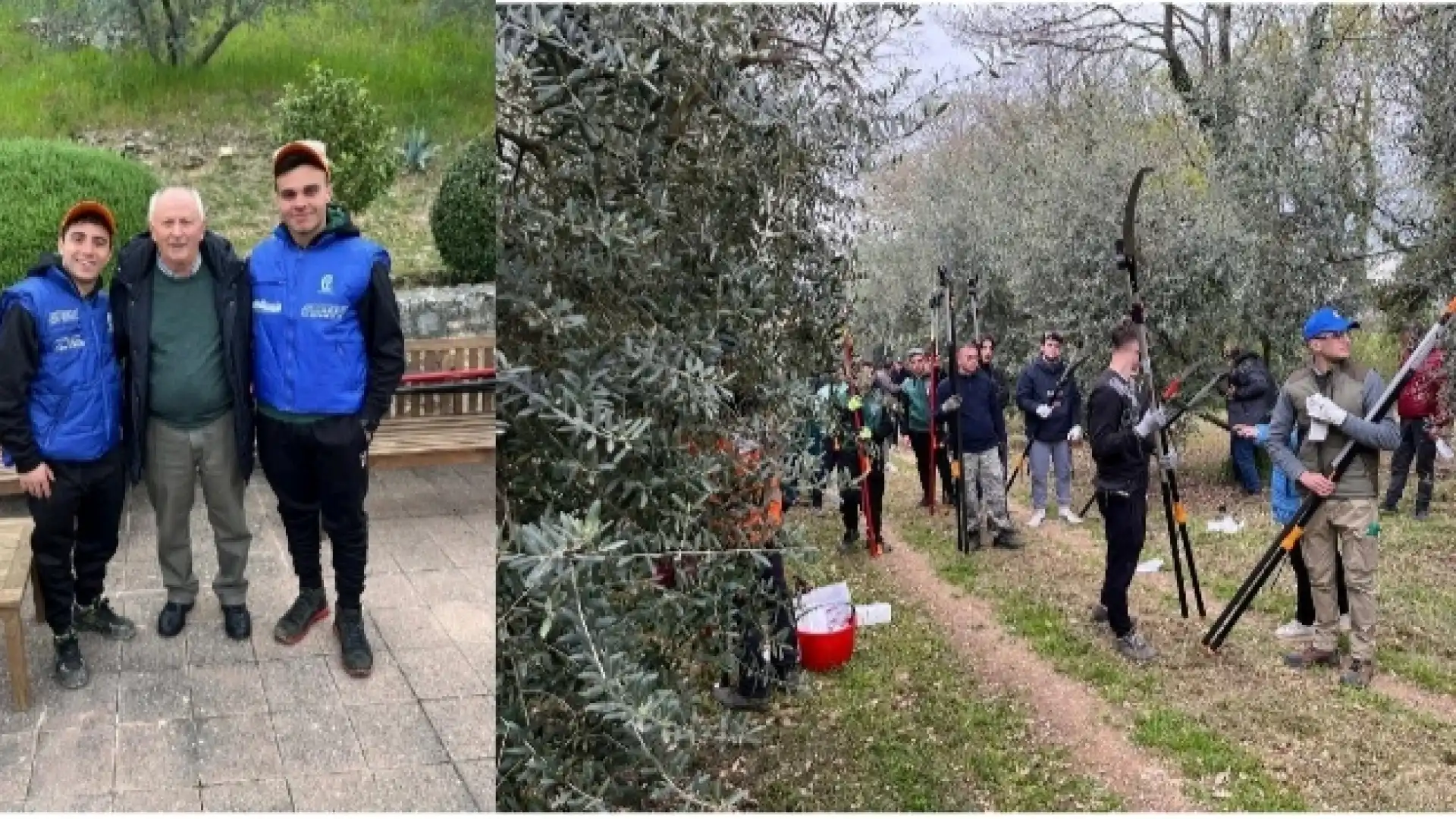 Gara nazionale di potatura dell'Olivo. Sul podio gli studenti dell'istituto San Pardo di Larino