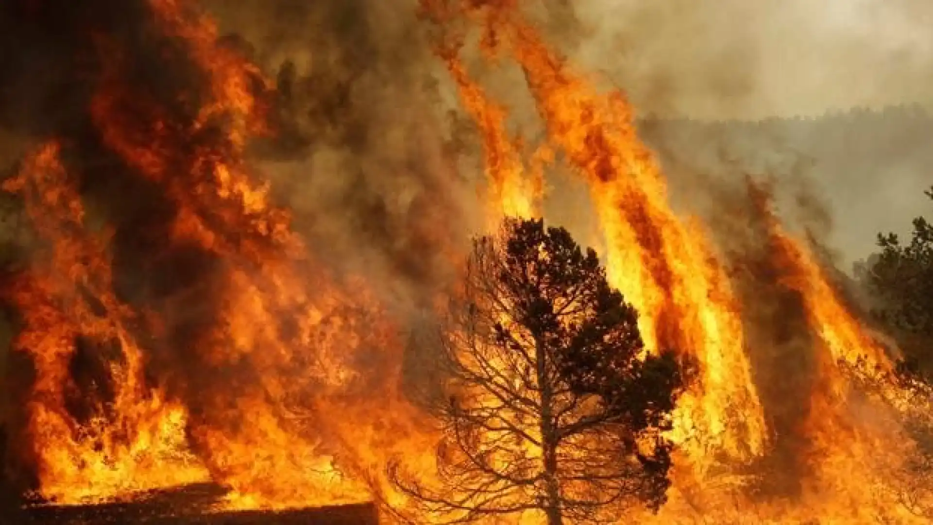 Pericolo incendi, Coldiretti Molise elabora un vademecum per prevenirli.