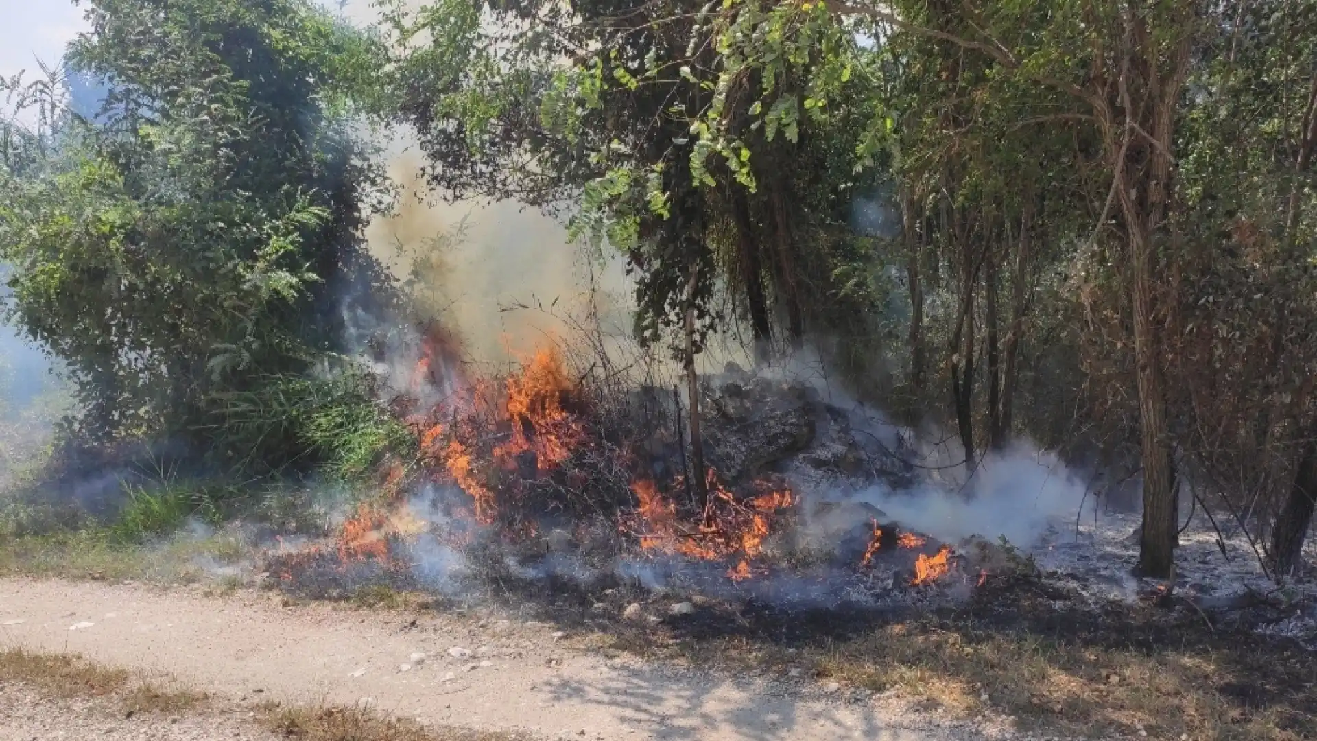 Colli a Volturno: vasto incendio nella zona del cimitero. I Vigili del Fuoco combattono contro il vento per domare le fiamme.