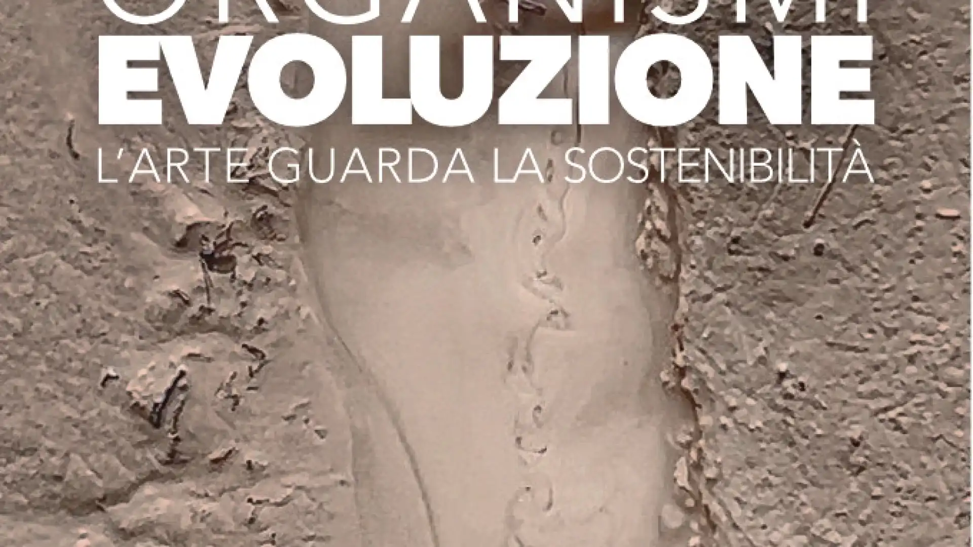 "ORGANISMI EVOLUZIONE”: L’arte guarda la sostenibilità: una visual performance innovativa, multimediale e immersiva.