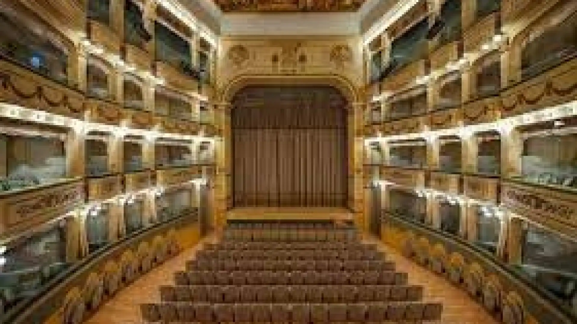 Concerto di Natale per la pace al Teatro Savoia di Campobasso si esibira' l'Orchestra scolastica regionale del Molise.