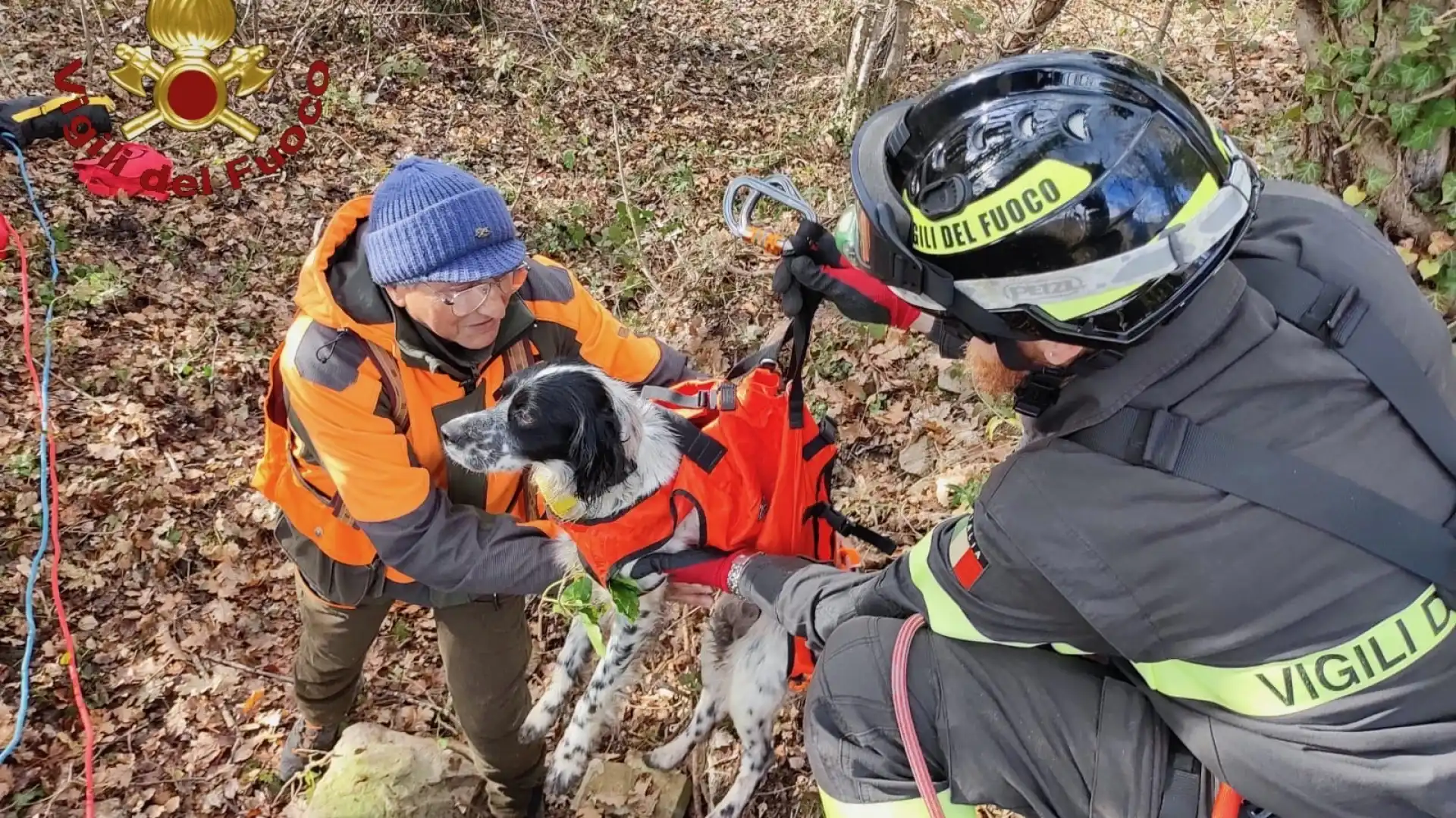 Pizzone: i Vigili del Fuoco recuperano cane caduto in un pozzo.