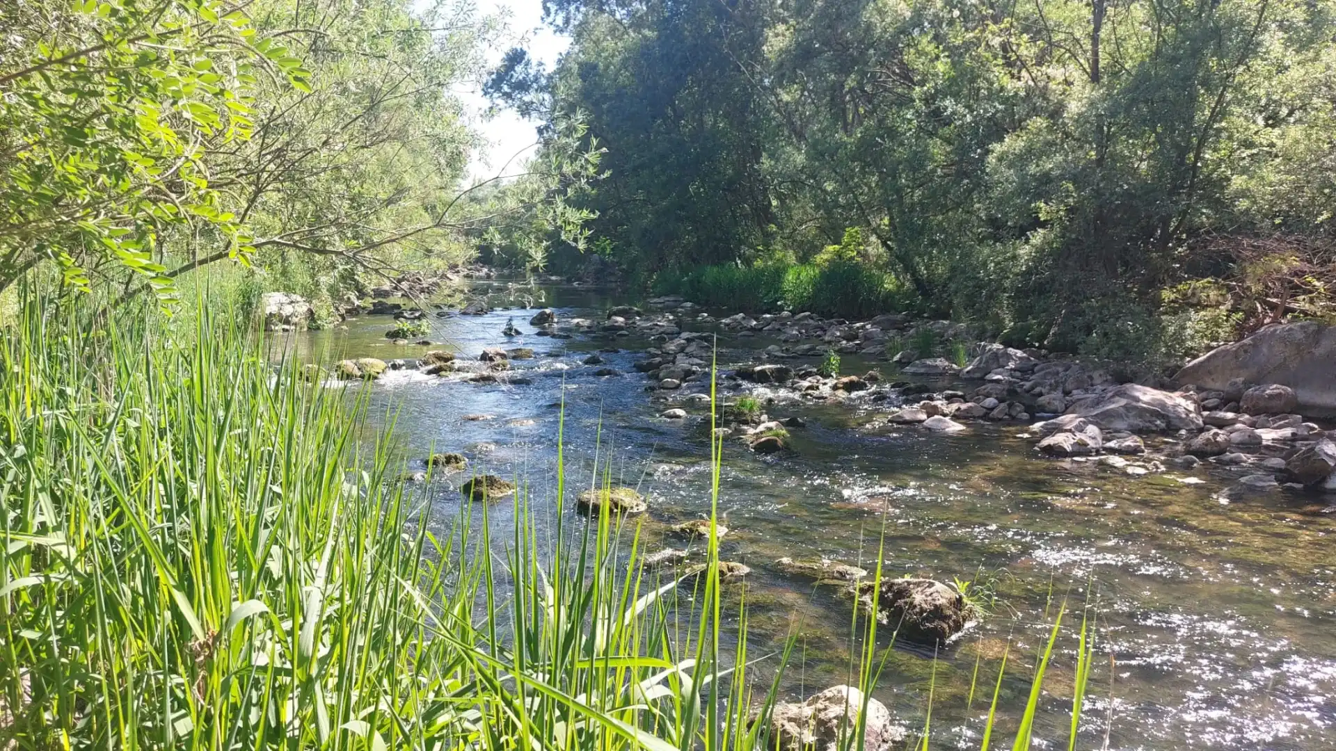 La delegazione Fai di Campobasso fa conoscere a tutti l'ecosistema fluviale del Biferno.