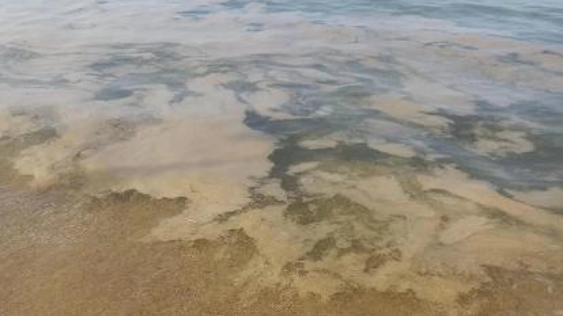 Mucillagine, subito indennizzi ai pescatori abruzzesi in difficoltà.