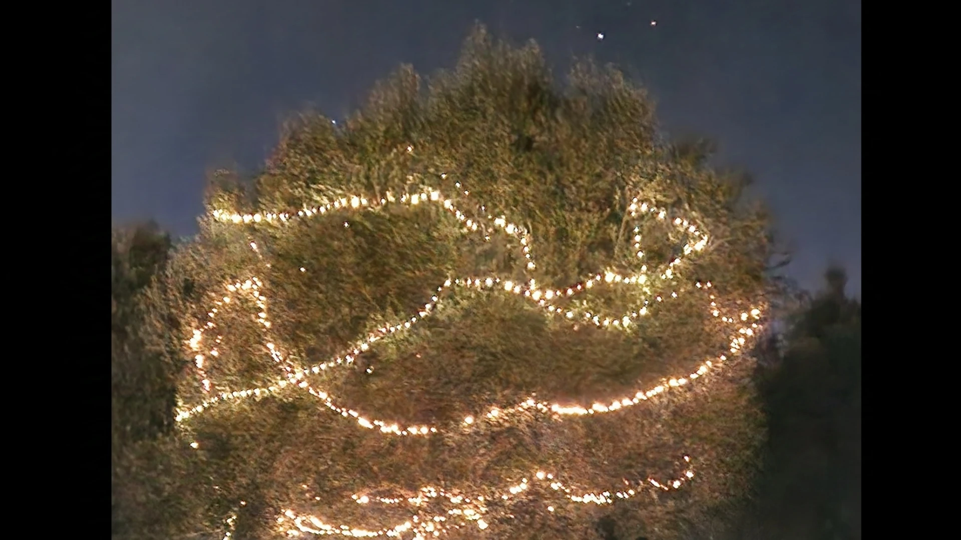 LUCI DI NATALE ANCHE NEL PARCO REGIONALE DELL'OLIVO DI VENAFRO