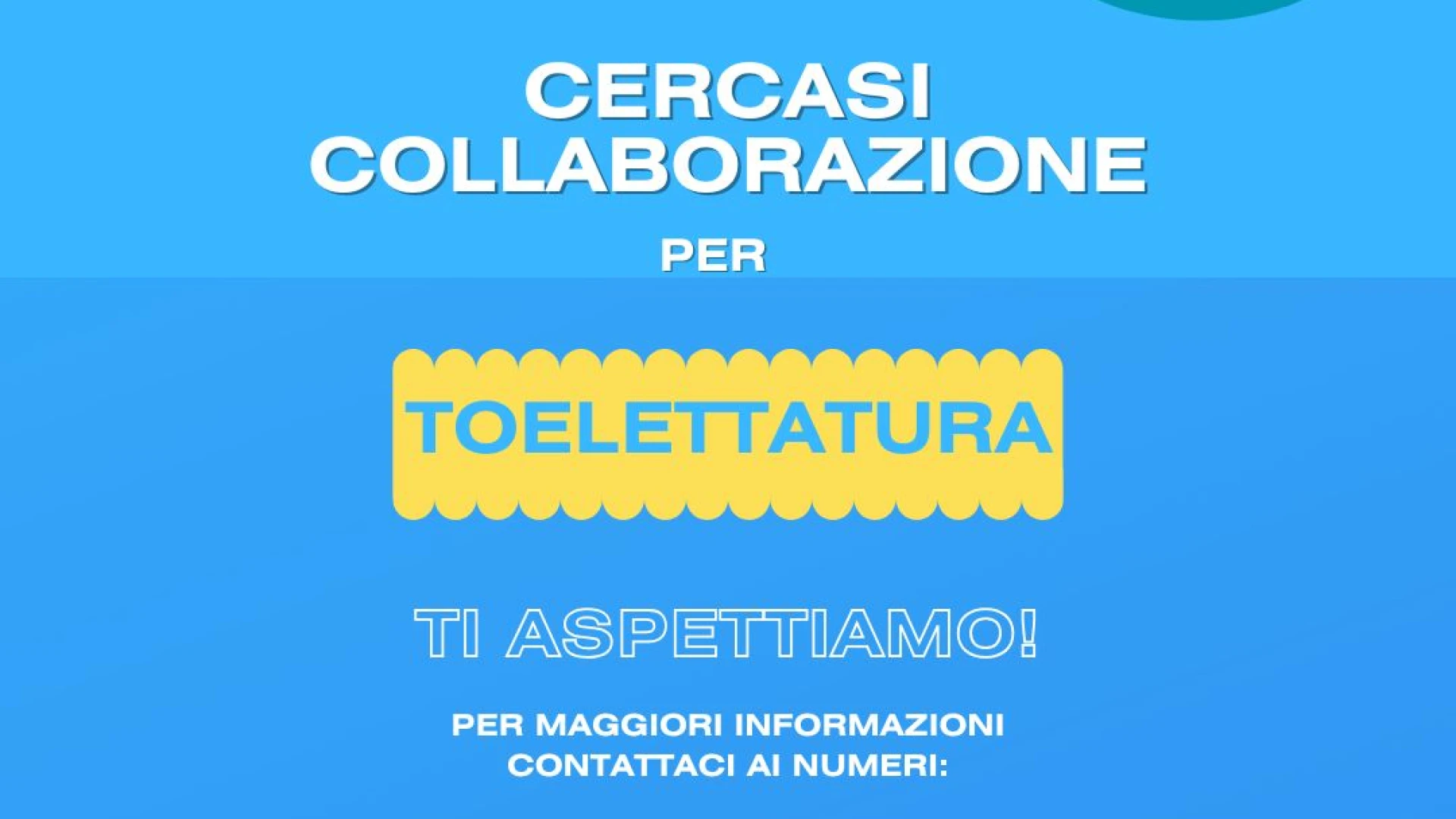Castel Di Sangro: Zampa PET Wash cerca collaborazione per Toelettatura. Info e dettagli nell'articolo. ANNUNCIO DI LAVORO.
