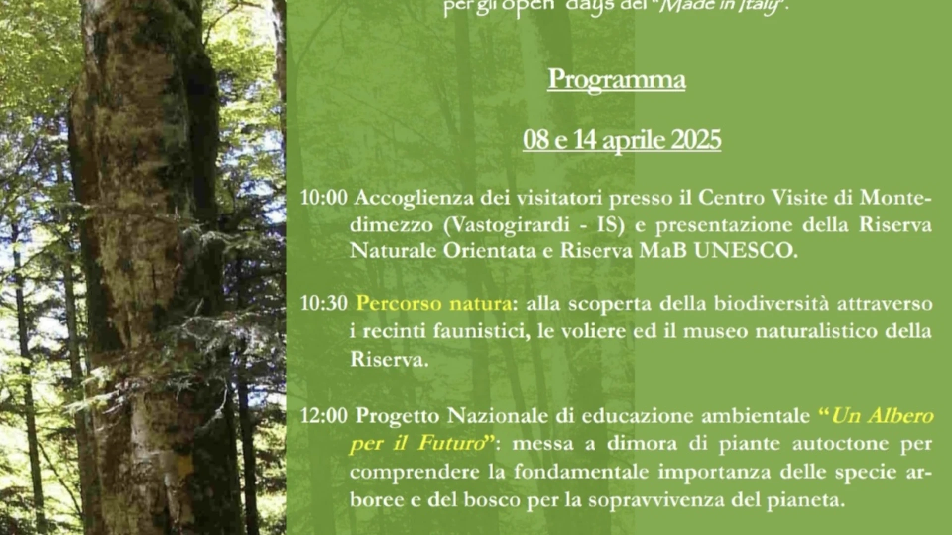 Seconda giornata Nazionale del Made in Italy. I Carabinieri Forestali di Isernia aprono le porte delle riserve di Stato. Due gli Open Day a Montedimezzo.