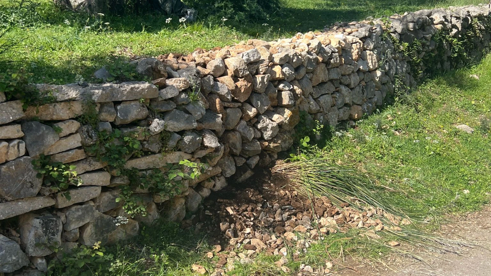 La lezione di valore dei giovani del Parco dell'Olivo: riparano un muro a secco con spirito di squadra.