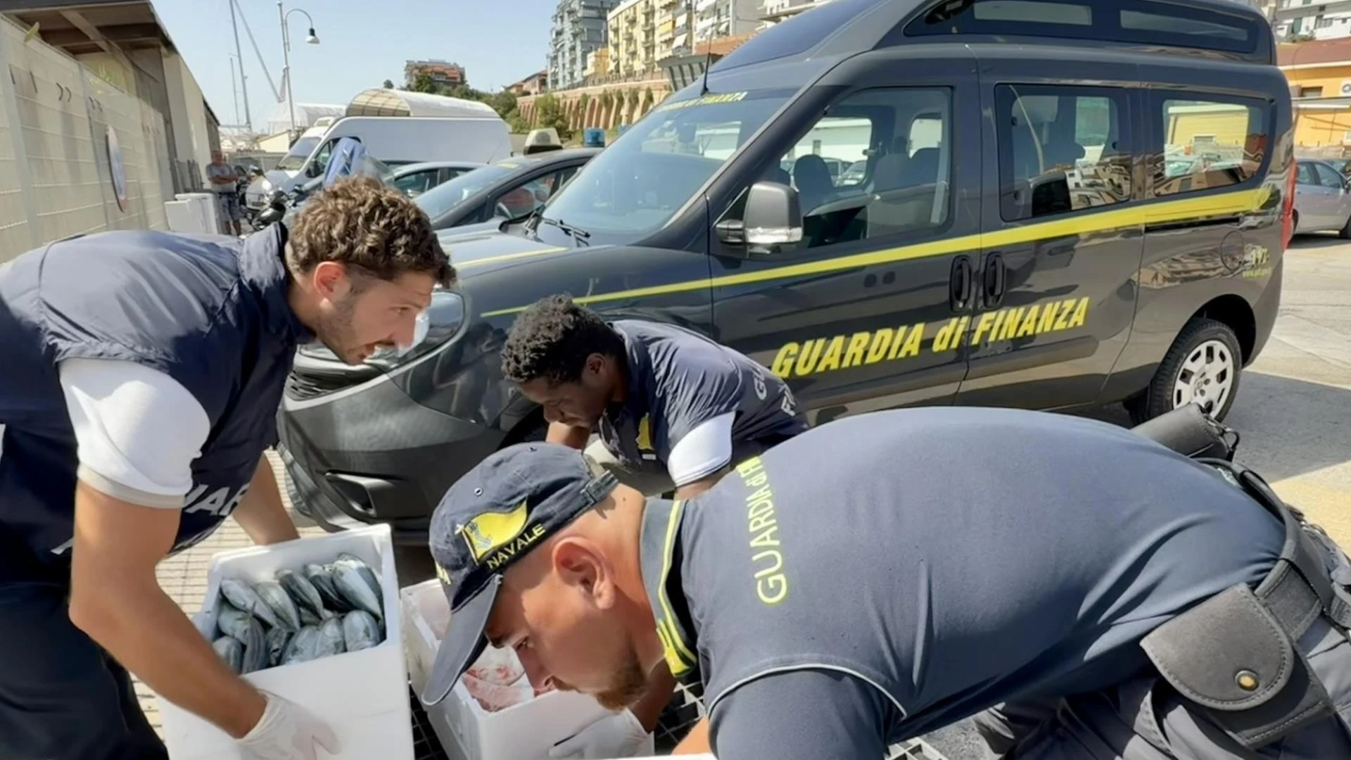 Gdf Roan di Termoli: sequestrati 70Kg di prodotti ittici non tracciati.