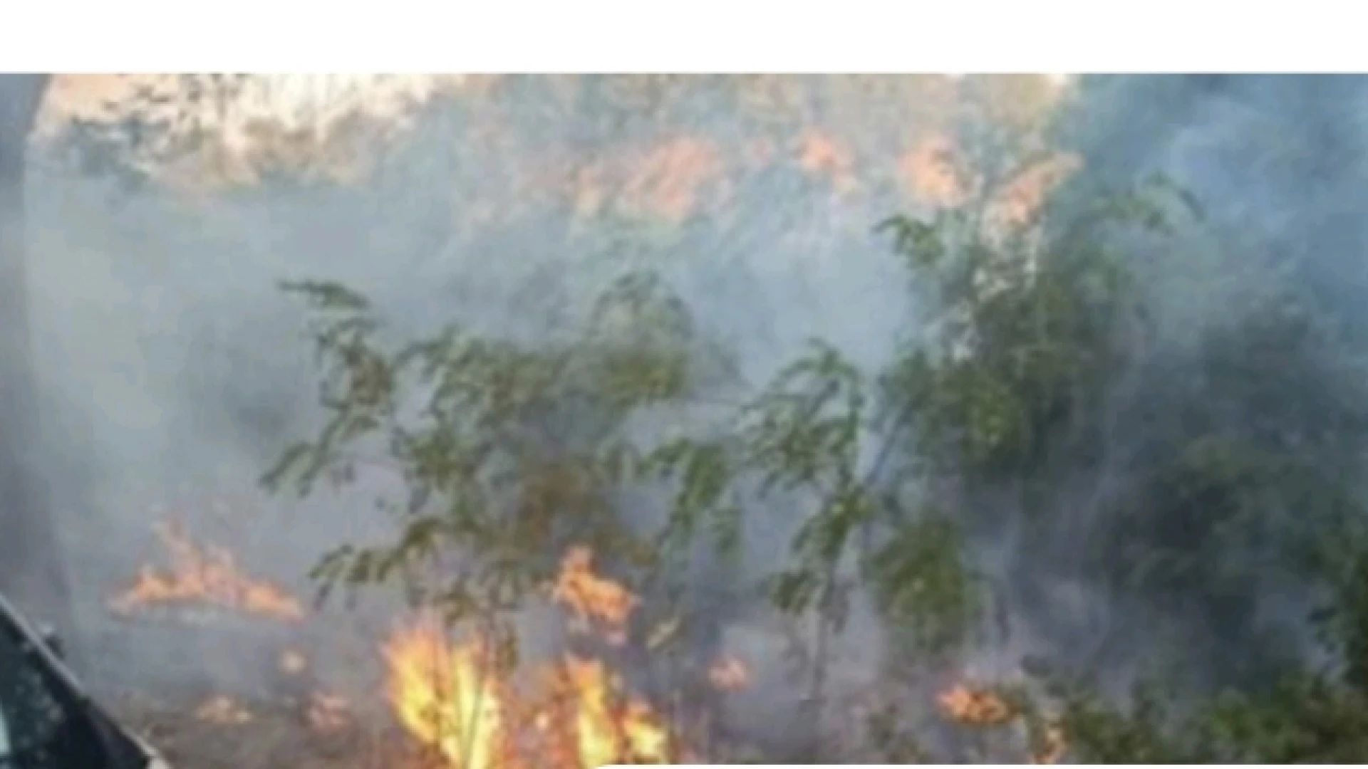 Identificato l'autore dell'incendio che il 22 luglio scorso  ha distrutto 60 ettari di vegetazione nell'alto Molise