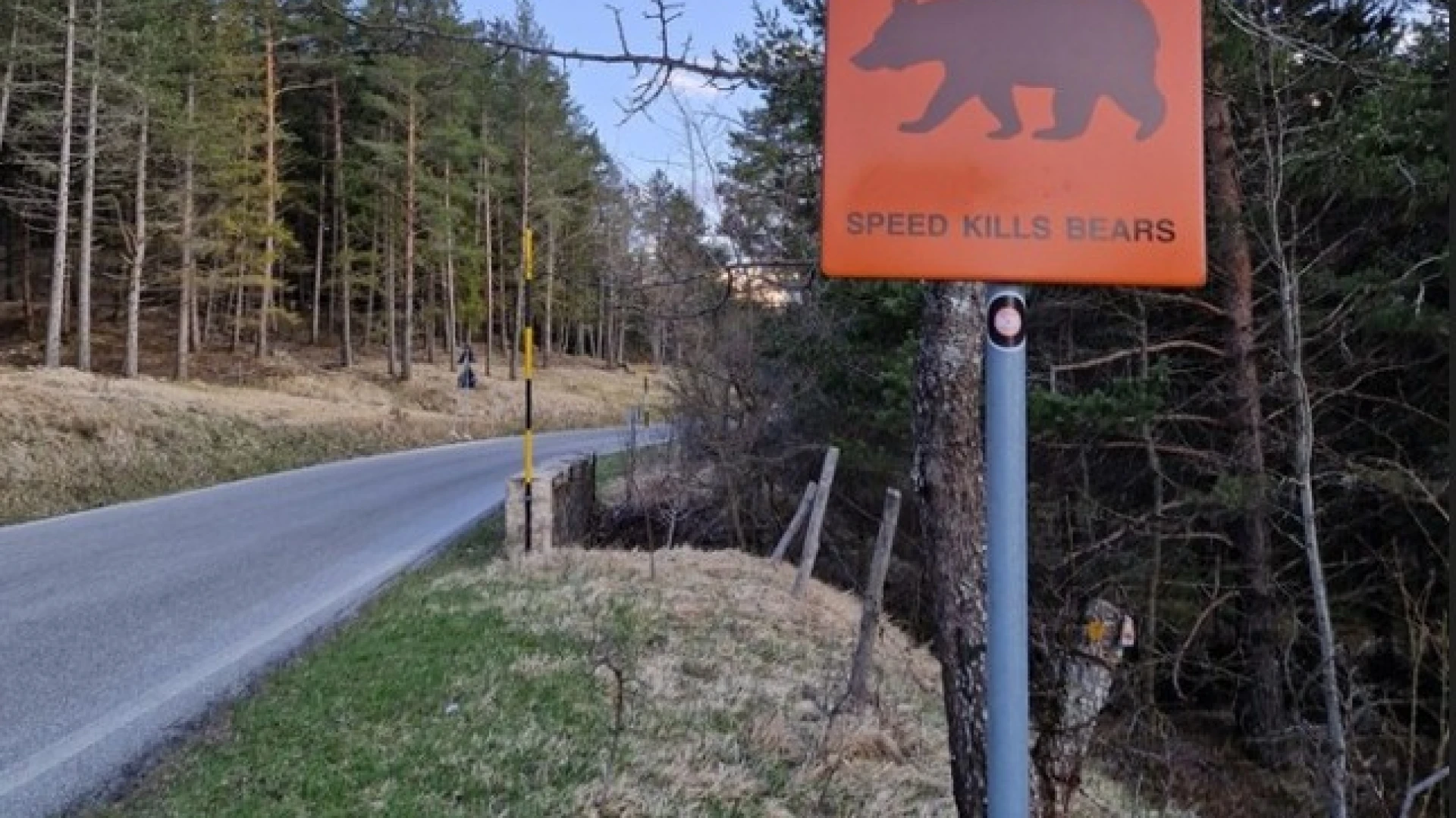 Numero chiuso e controlli severi per ridare tranquillità e sicurezza a chi percorre la SP83 del Parco nazionale d’Abruzzo, Lazio e Molise