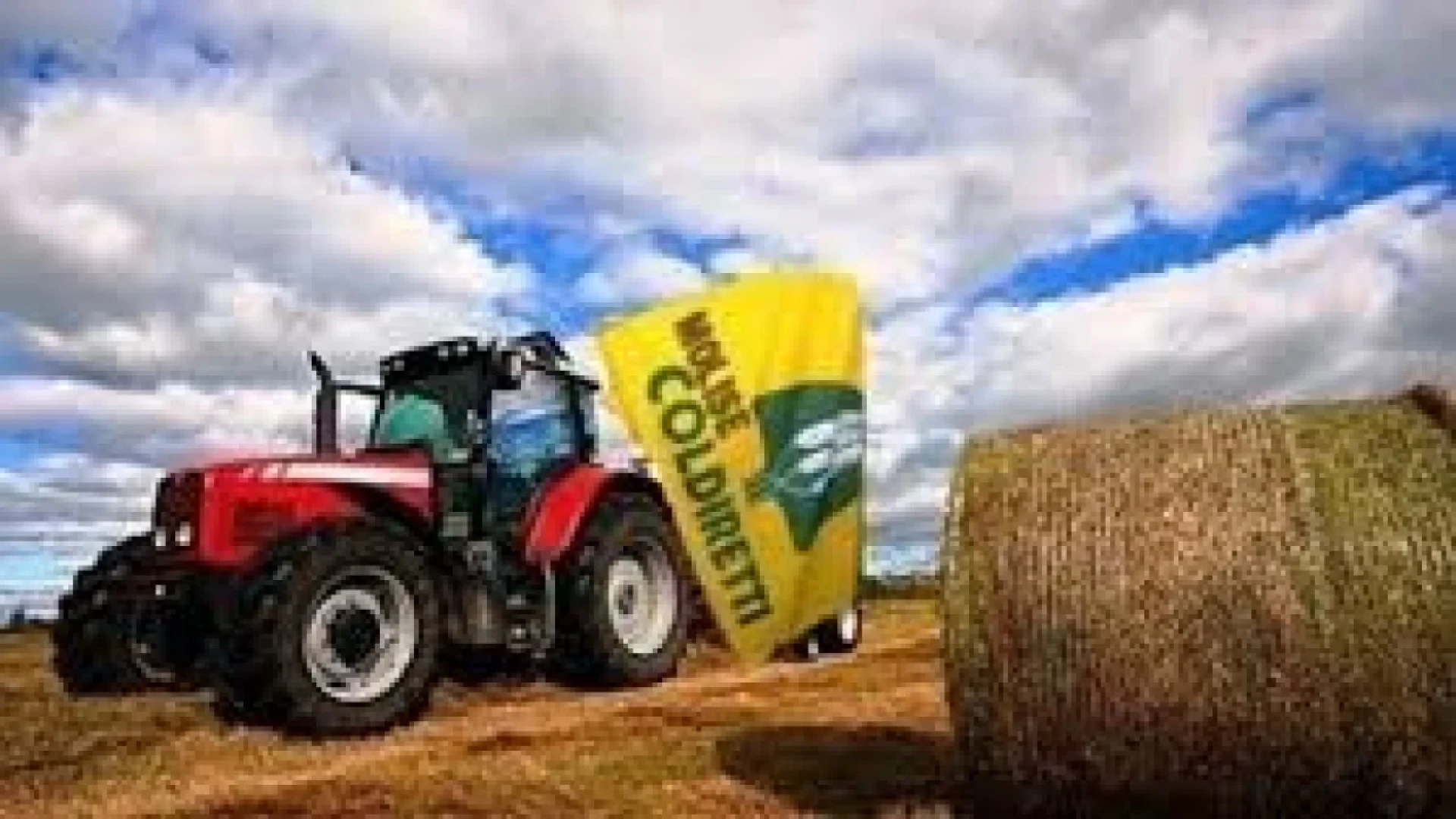 Ambiente: Coldiretti Molise, nuovo passo verso la sburocratizzazione con stop ad obbligo registro rifiuti 6per chi adotta sistemi alternativi di tracciabilità.