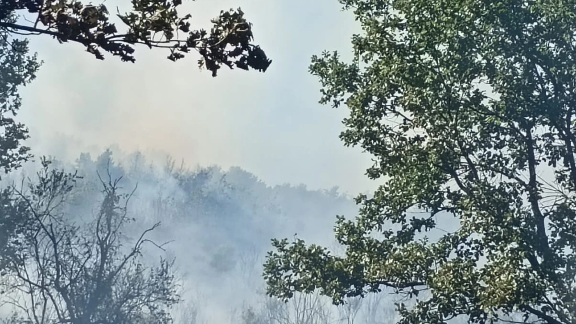 Fornelli: incendio brucia ettari di bosco nelle vicinanze del paese.