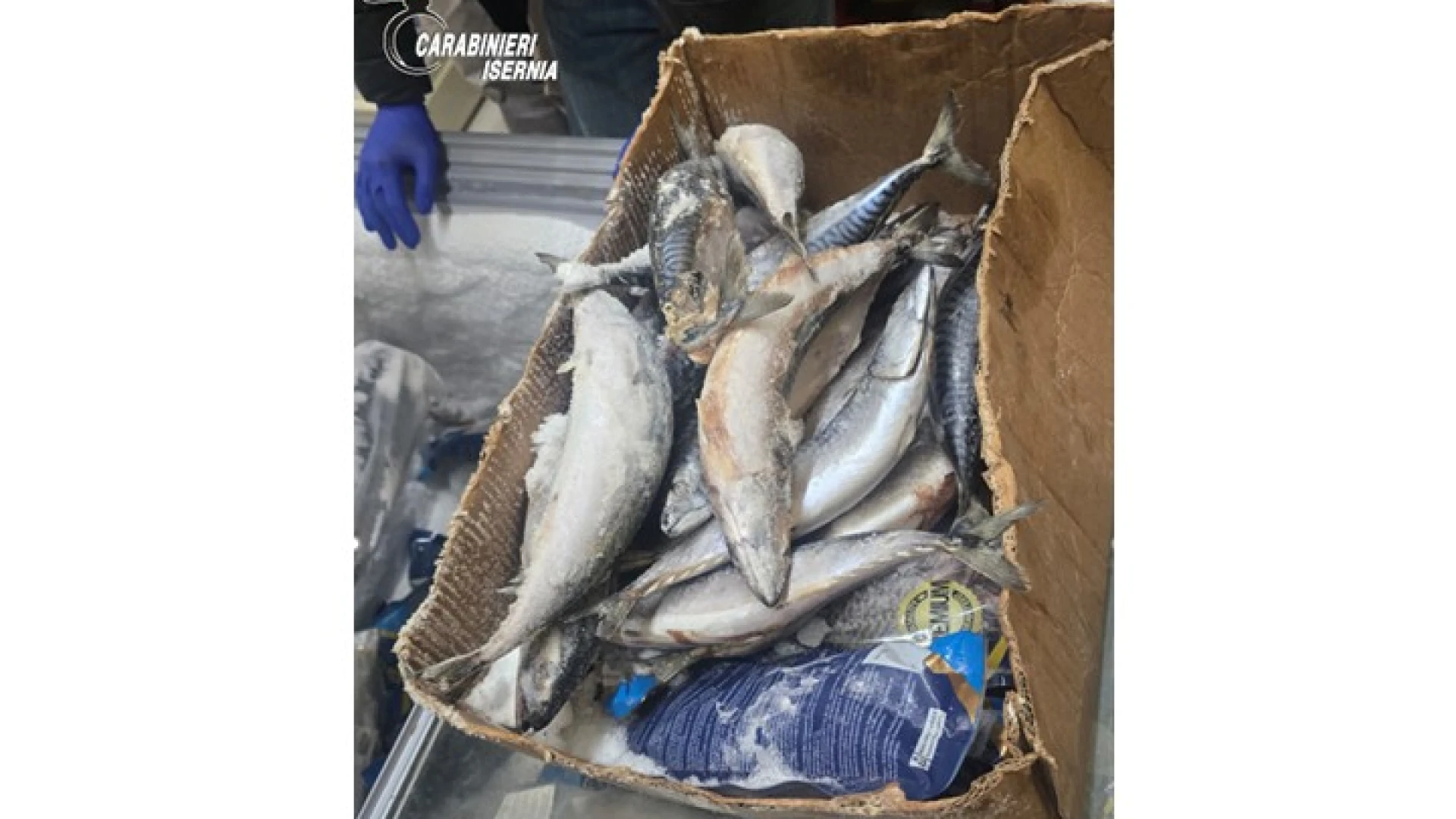 Prodotti alimentari senza tracciabilità: sequestrati dai Carabinieri oltre 60kg di cibo e sospesa un’attività commerciale della provincia di Isernia.