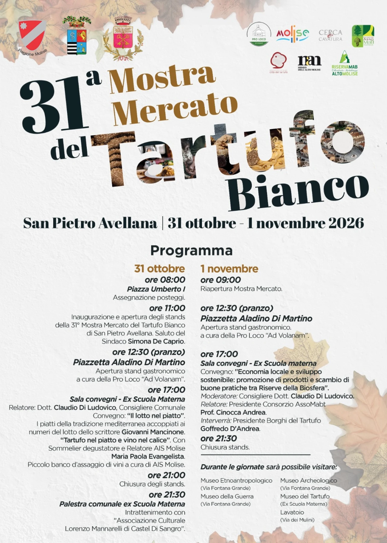 Banner Pop Up Fiera del Tartufo San Pietro Avellana